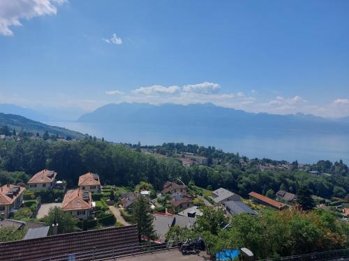 Uitzicht, Sweet home avec vue incroyable lac leman proche lausanne in Belmont-sur-Lausanne