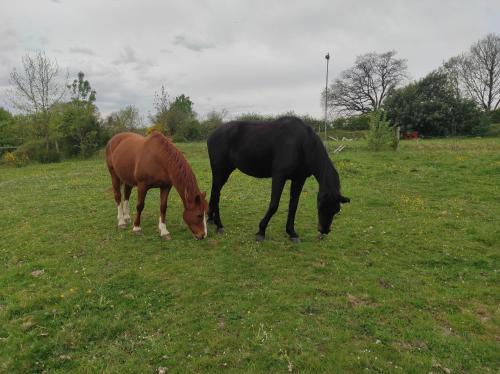 Les 2 Chenes in Saumur