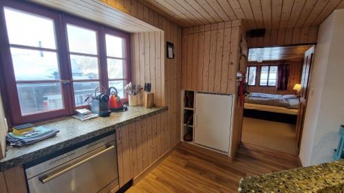 Hannig, Saas-Fee (photo 3)