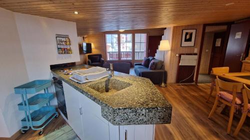 Hannig, Saas-Fee (photo 5)