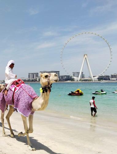Ultimate Stay 2BR Sea View at JBR Beach Ain Dubai High Floor Luxury Stay, Dubaj (fotografie 5)