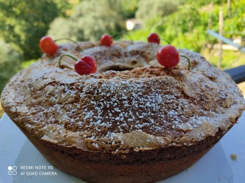 Agriturismo Chiusulelle – Ogliastro Cilento, UT