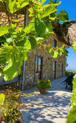 Agriturismo Chiusulelle – Ogliastro Cilento, UT