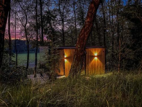 Tiny Mirror House – Luxe ÖÖD Suite, Wilsum (zdjęcie 8)