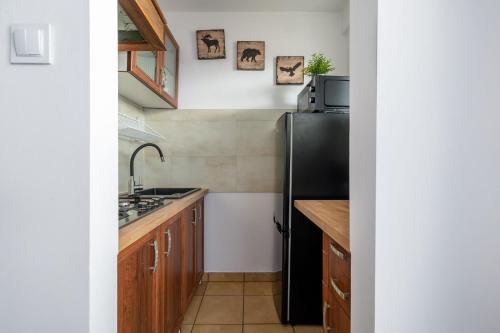 RentPlanet - Studio Kazimierza Wielkiego, Breslau (Foto 8)