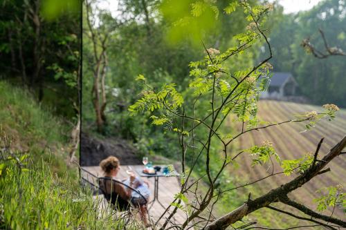 Tiny Mirror House – Luxe ÖÖD Suite, Wilsum (zdjęcie 4)