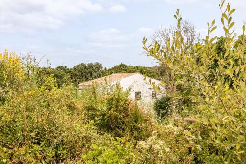 Gandum Village - Conscious Boutique Hotel