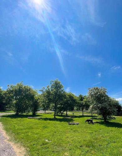 Springfield oaks Glamping Pod in Newport North
