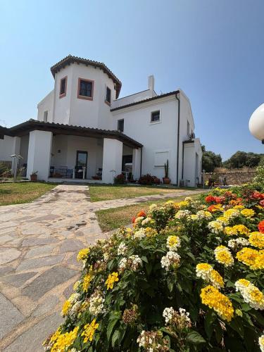 La casa di Sofia 3
