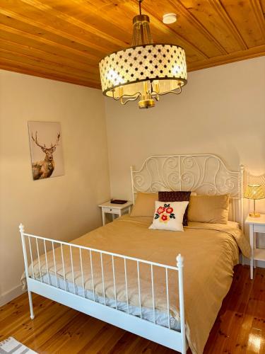 Villa image 5