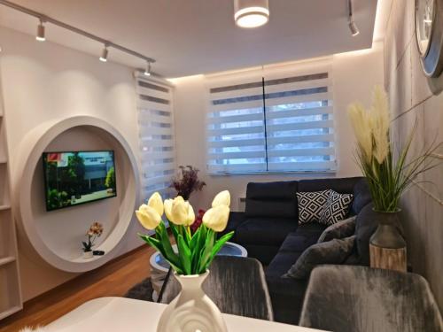 Lux apartman Central 36-Vila Pekovic