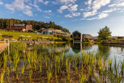 Pfalzblick Wald Spa Resort in Dahn, Deutschland