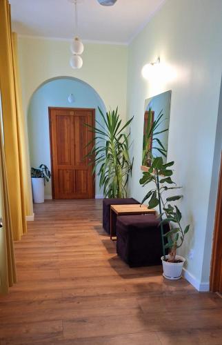 Willa Zachęta Guesthouse&Coffee