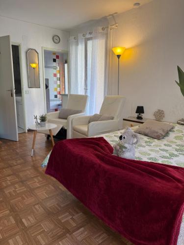 Studio tout équipé face aux thermes (Studio tout equipe face aux thermes) in Arles-sur-Tech