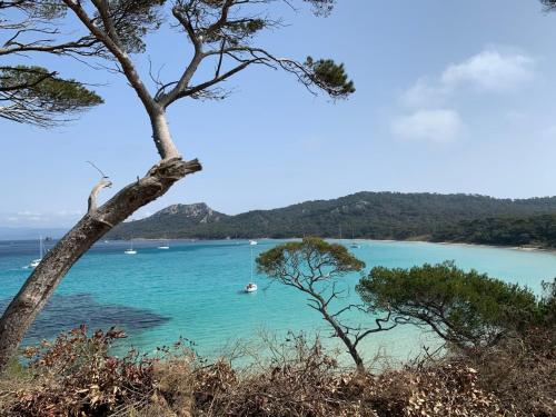Surrounding environment, Appartements sur l'ile de Porquerolles in Porquerolles