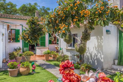 Places to stay in Palma
