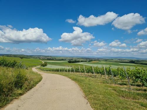運動及活動, Rheinhessen-Loft in 阿爾蔡