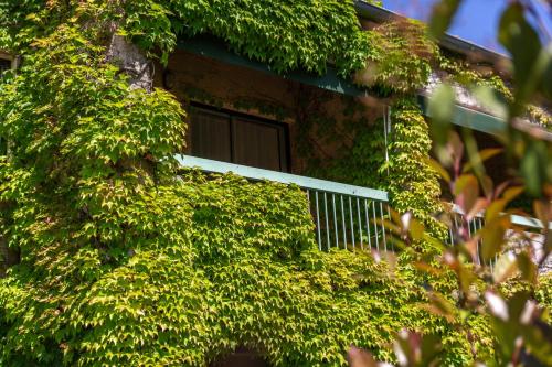 Lou Paradou - image 5