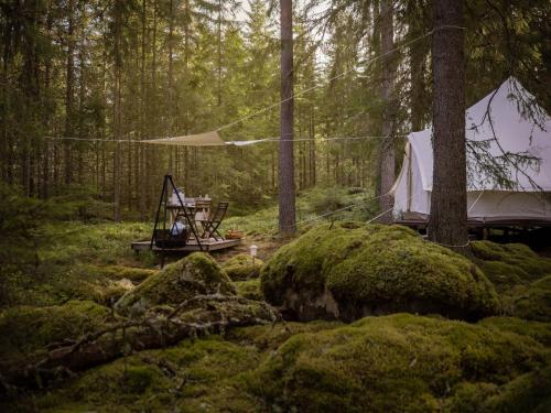 . Happie Camp - Hagfors