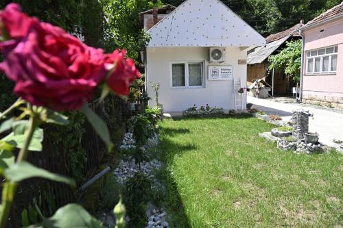 Mokino bunarče (Mokino bunarce) in Jalovik Izvor