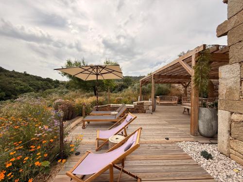 Dārzs, Casas da Vinha - Vineadouro Wine Hotel in Quinta da Pedra Escrita