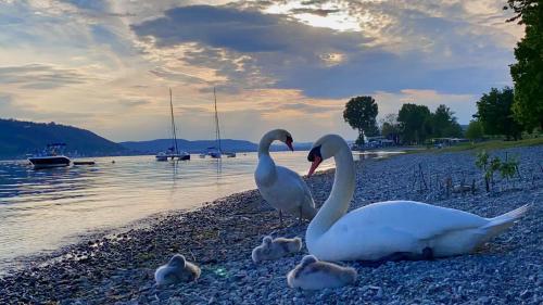 Exterior view, Feriendomizil Brunnenberg in Sipplingen