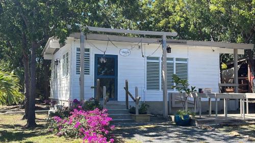 Esterno, Rustic cabin in the heart of the fields of Pitahaya in La Parguera
