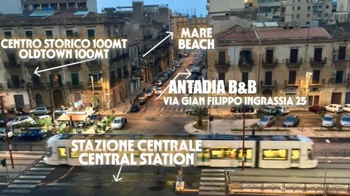  Antadia in Palermo