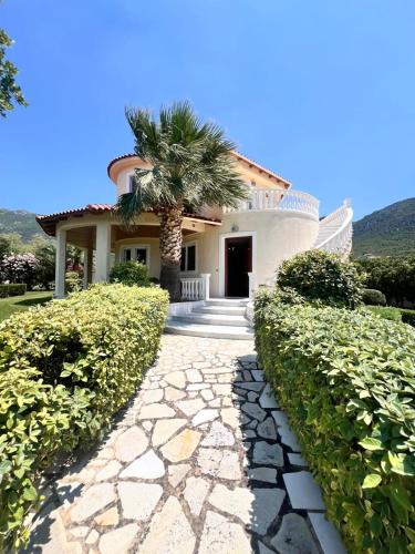 Psatha Villa's in Psatha