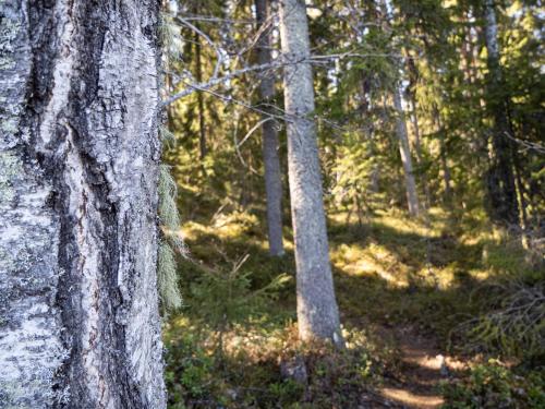 Hotelli Keurusselkä - main image