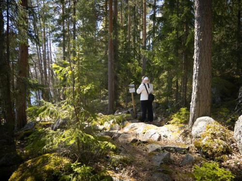 Hotelli Keurusselkä - image 4