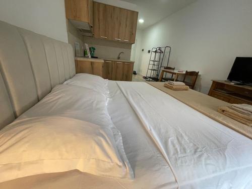 BonBon Quiet Central Studio - ENJOY TRAVEL, Tirana (photo 9)