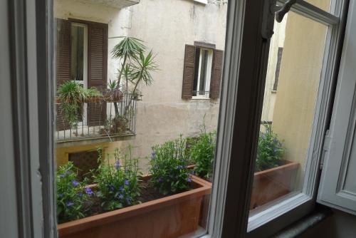 Domus Picta Roomy Apartment, Rzym (zdjęcie 5)