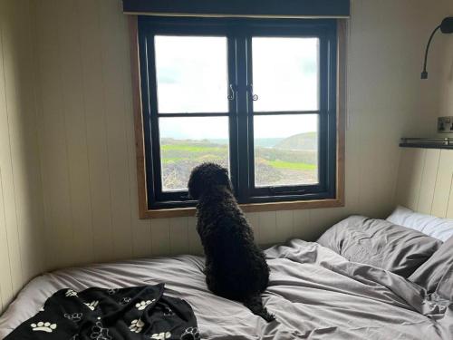 Travellers Rest Glamping Pods & Shepherds Hut near Newquay Airport