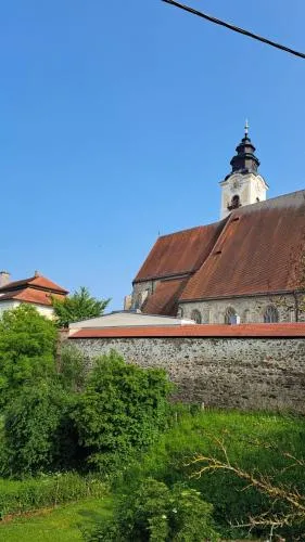 Spitzbart in Eferding, Österreich