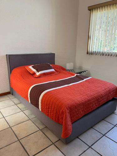 CoLiving in Cuernavaca, Mexico