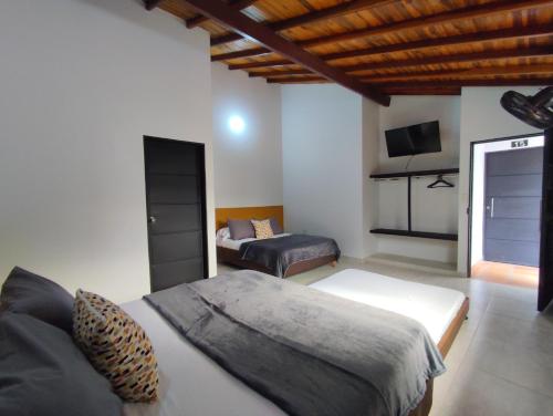 Trip Monkey Origen in San Gil