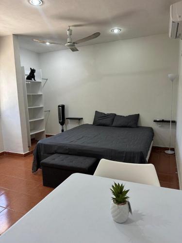 Oneira Seybaplaya Apartamentos in Seybaplaya
