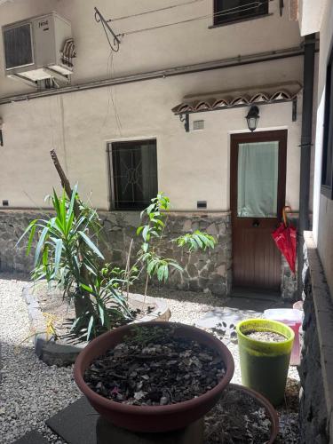 Casa Tony
