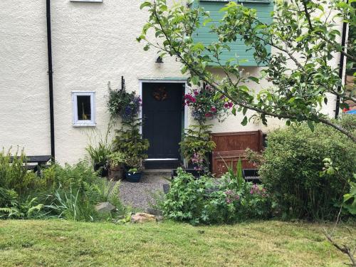 Corlae Cottage, mountain and forest views in Carsphairn
