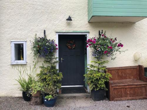 Corlae Cottage, mountain and forest views in Carsphairn