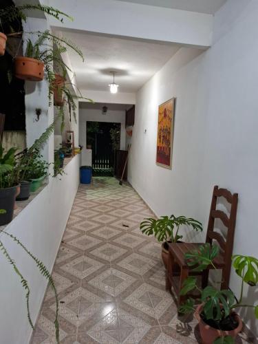 Casa Flôr - Beira rio Centro de Lumiar, Lumiar (fotografie 7)