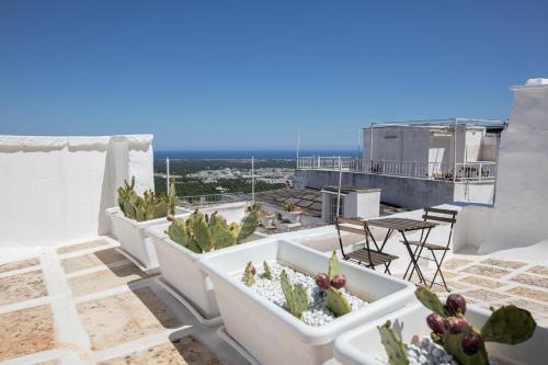 Radici Ostuni 2