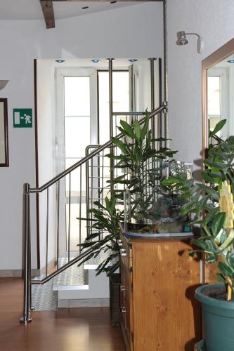 Hotel Centrale - image 13