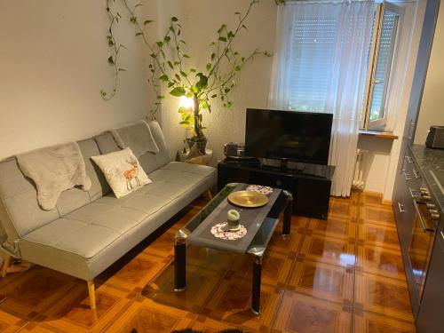 Apartment, Bazylea (zdjęcie 3)