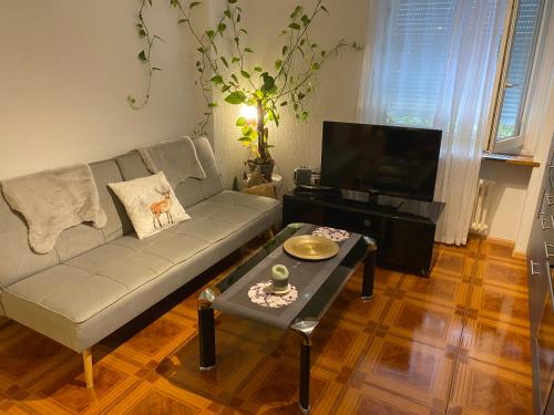 Apartment, Bazylea (zdjęcie 6)