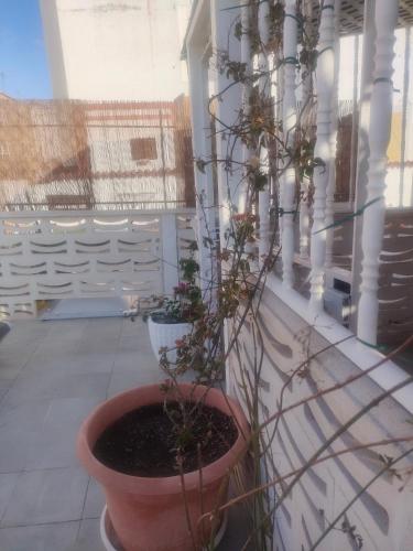 Alba 2 apartamento y Alba 3 habitación con baño 5