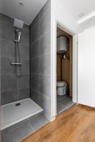 Studio cosy Krutneau, Strasbourg (photo 6)