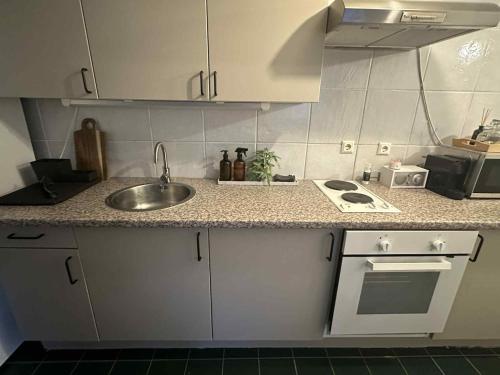 Cozy modern flat in suburb near center in Árbær