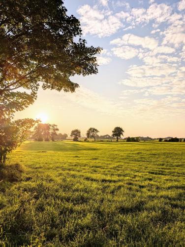 Traumkrone Ferienwohnungen - Himmelblau in Schortens